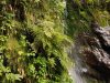 la-resistencia-de-la-naturaleza