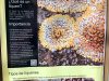 semana-de-la-ciencia-14